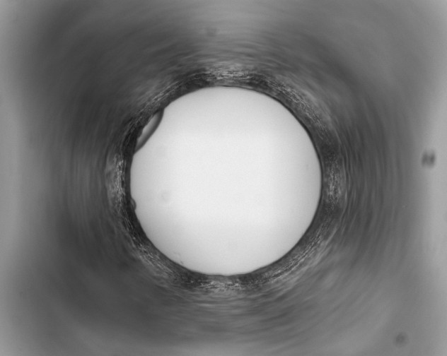 X0000103471346200810031511