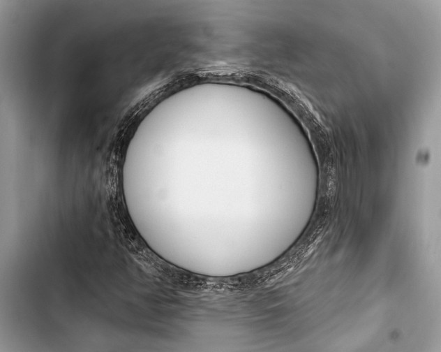 X0000103471350200810031511