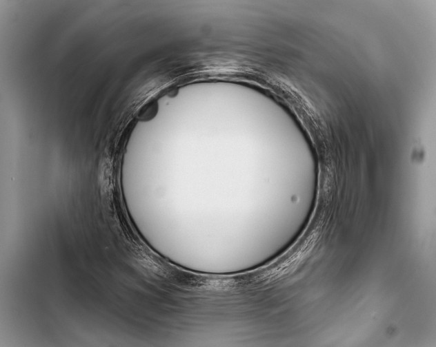 X0000103471353200810031511