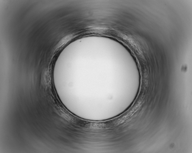 X0000103471354200810031511