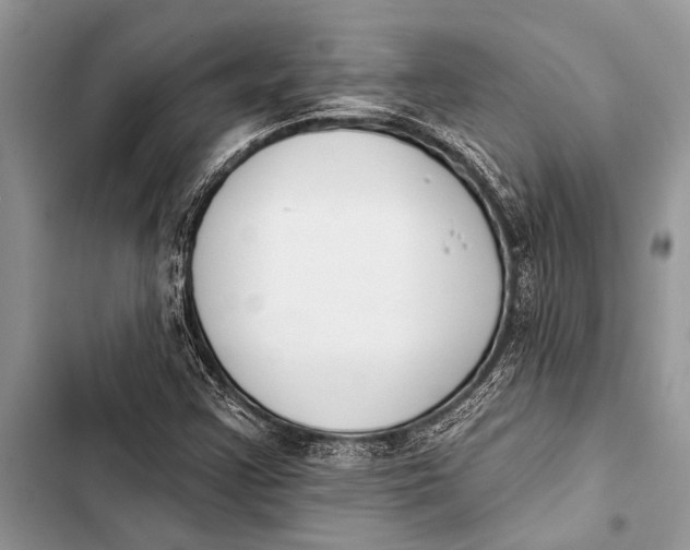 X0000103471355200810031511