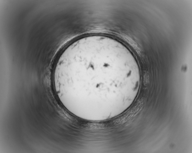 X0000103471356200810031511