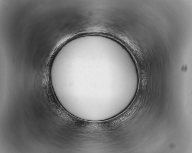 X0000103471358200810031511