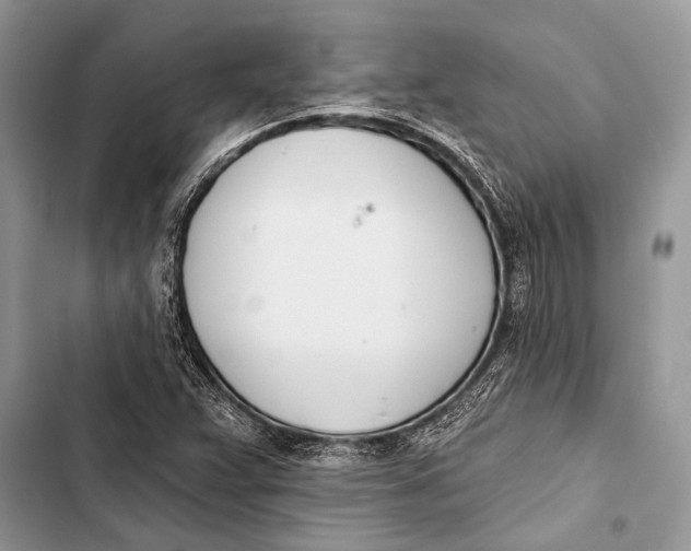 X0000103471359200810031511