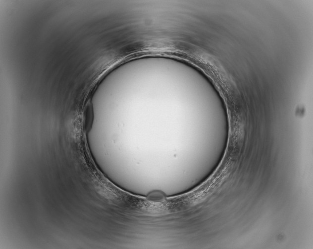 X0000103471361200810031511