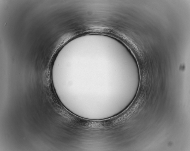 X0000103471362200810031511