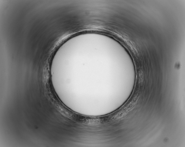 X0000103471363200810031511