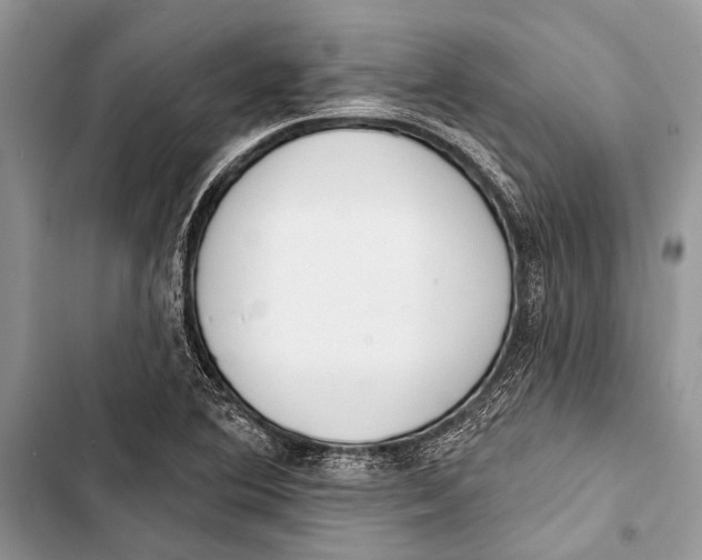 X0000103471364200810031511