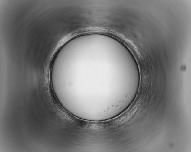 X0000103471365200810031511