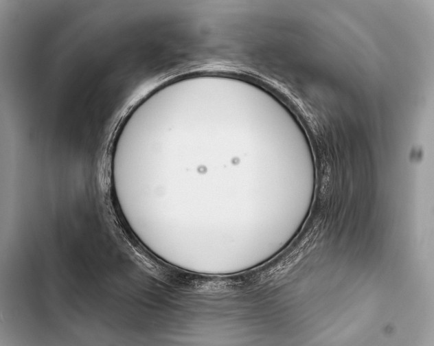 X0000103471367200810031510