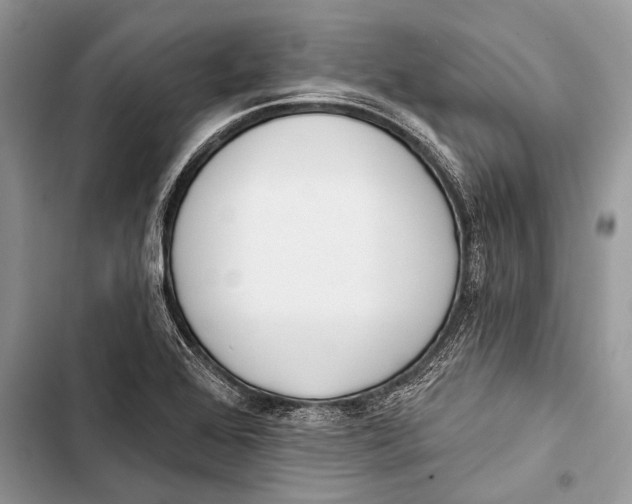 X0000103471368200810031510