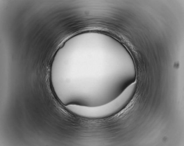 X0000103471369200810031510