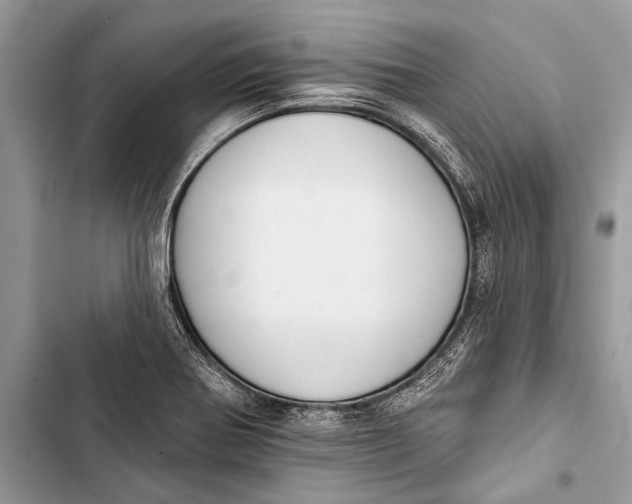 X0000103471370200810031510