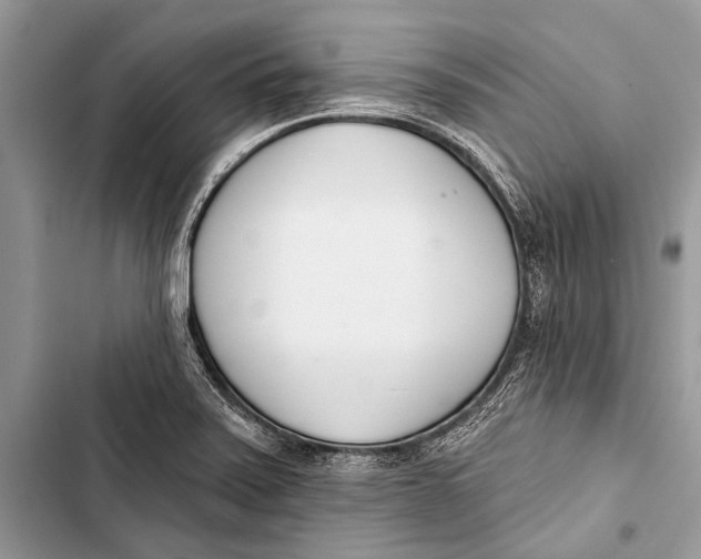 X0000103471371200810031510