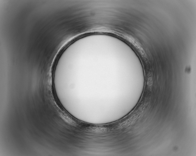 X0000103471372200810031510