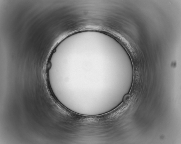 X0000103471373200810031510