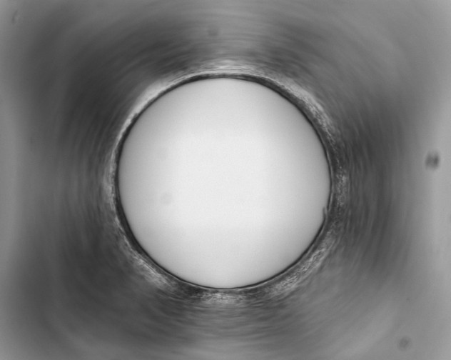 X0000103471374200810031510