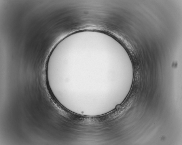 X0000103471375200810031510