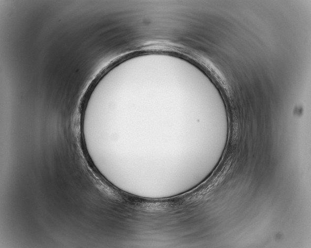 X0000103471376200810031510