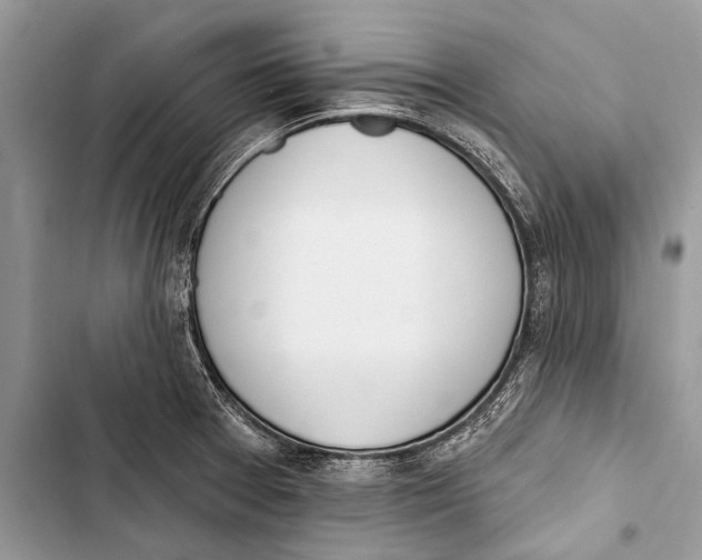 X0000103471377200810031510