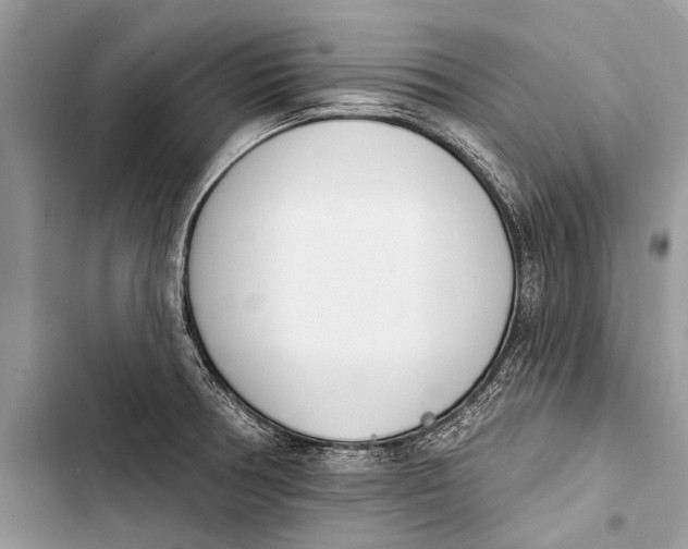 X0000103471378200810031510