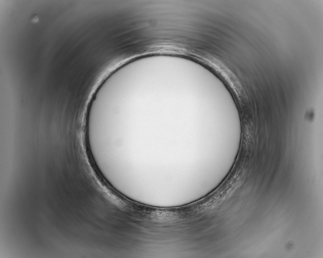 X0000103471379200810031510