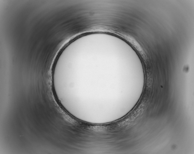 X0000103471380200810031510