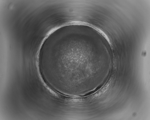 X0000103471381200810031510