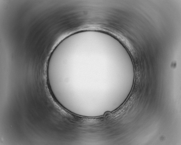 X0000103471382200810031510