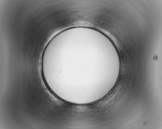 X0000103471383200810031510