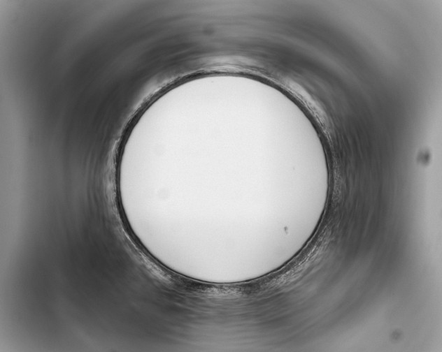 X0000103471384200810031510