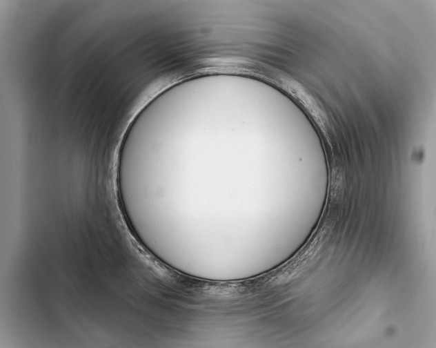 X0000103471386200810031510