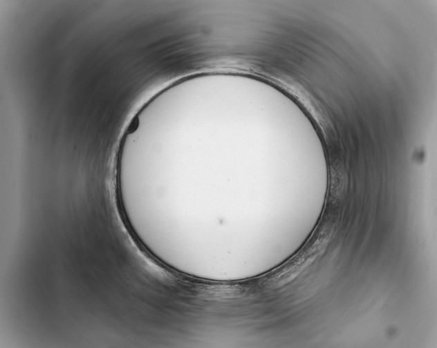 X0000103471387200810031510