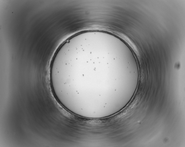 X0000103471388200810031510