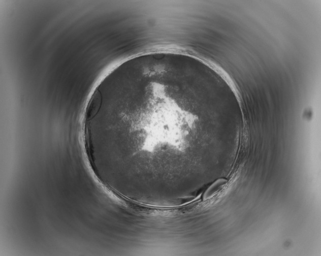 X0000103471389200810031510