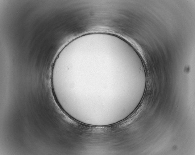 X0000103471390200810031510