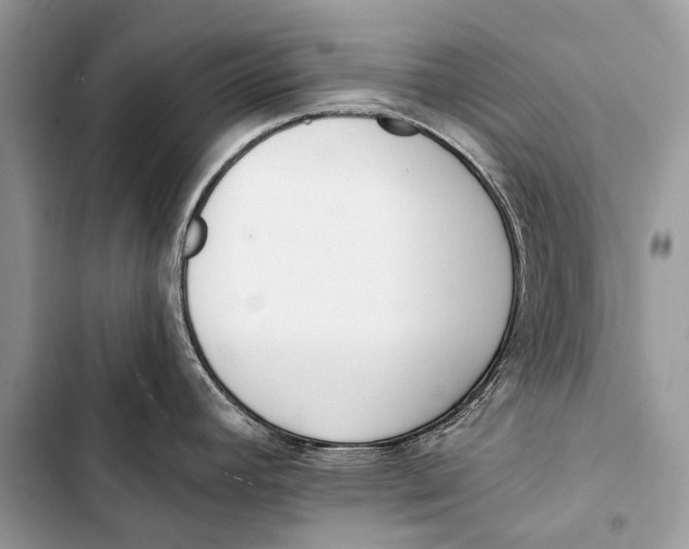 X0000103471392200810031510