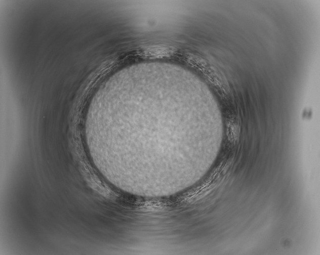 X0000103471393200810031509