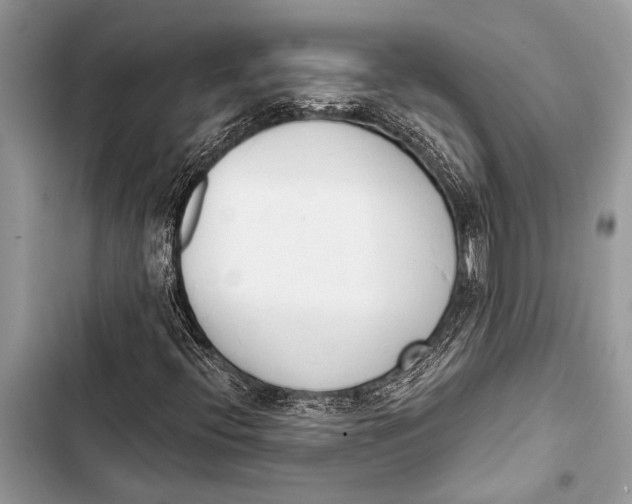 X0000103471396200810031509