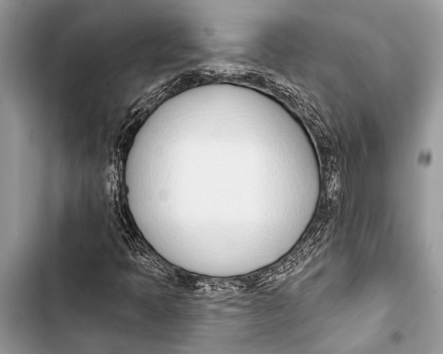 X0000103471397200810031509