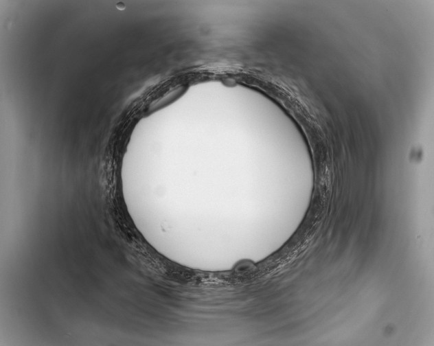 X0000103471398200810031509