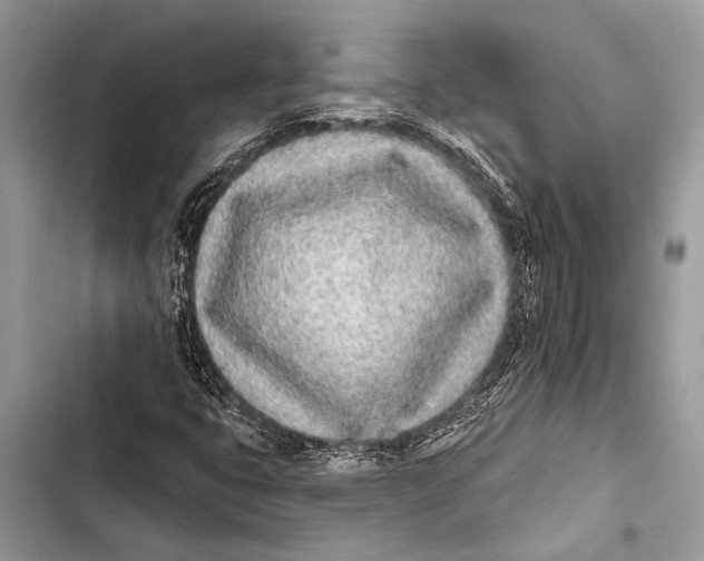 X0000103471399200810031509