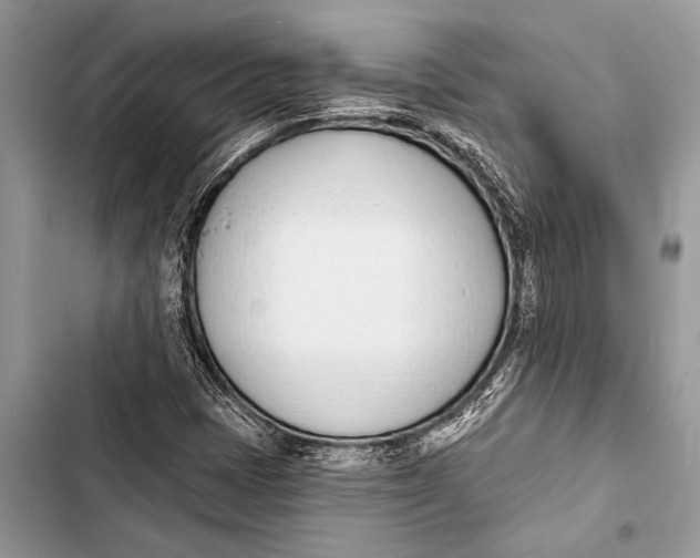 X0000103471401200810031509