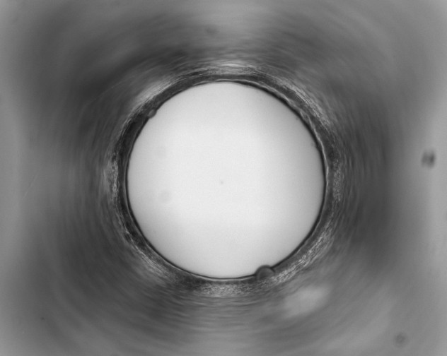 X0000103471402200810031509