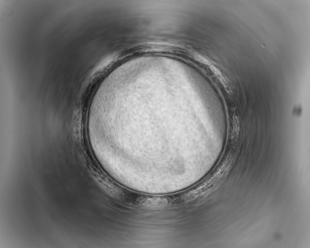 X0000103471403200810031509