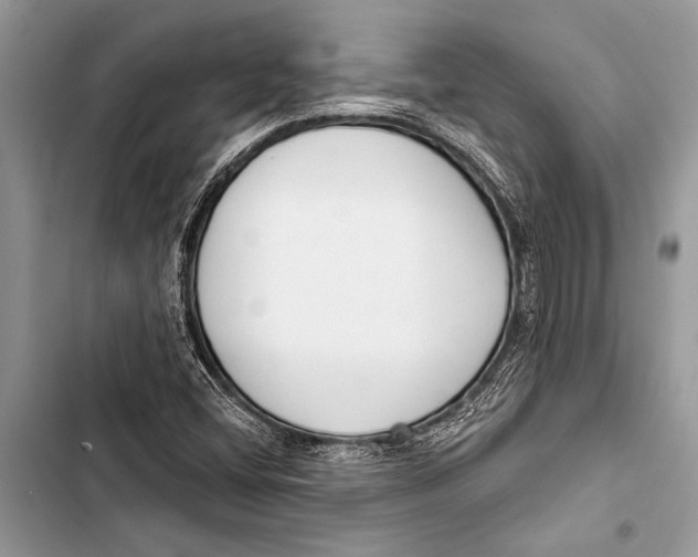 X0000103471404200810031509