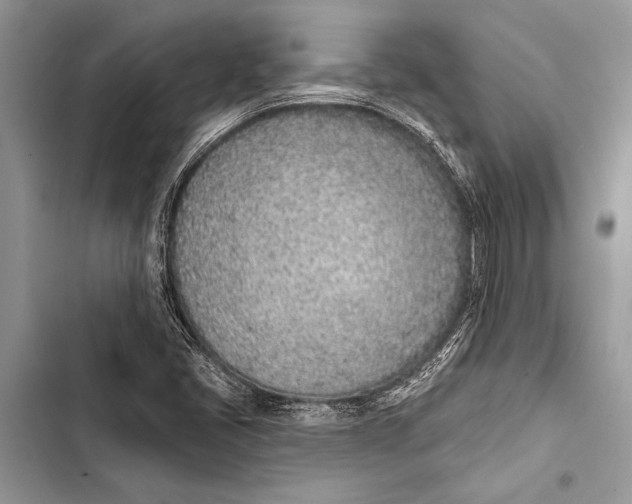 X0000103471405200810031509