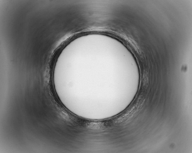 X0000103471406200810031509