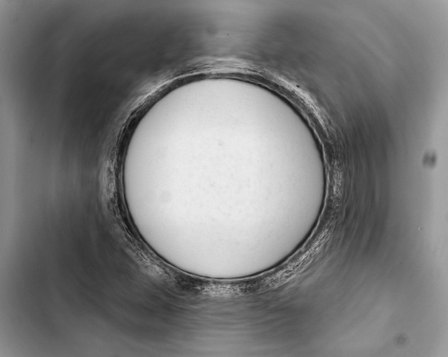 X0000103471407200810031510