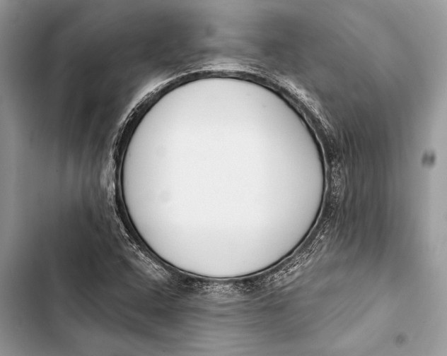 X0000103471408200810031510